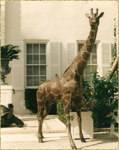 Giraffe